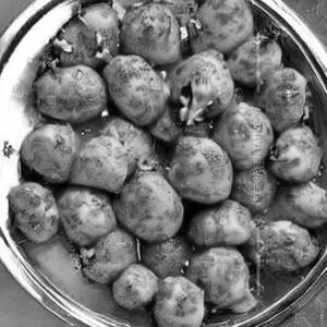 Dum Aloo Punjabi 