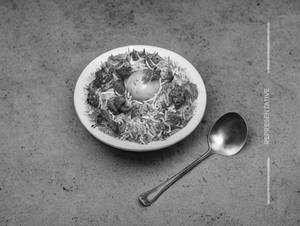 Handi Biryani 