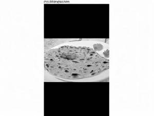 Lachhaa Paratha