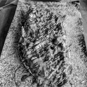 Kitkat Waffle