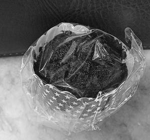 Chocolate Muffin