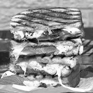 Balasmic Grilled Veg Sandwich