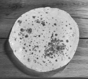 Tawa roti
