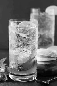 Fresh Mint Mojito