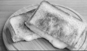 Plain cheeese sandwich