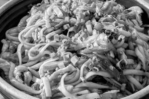 Udon Noodles In House Special Sauce