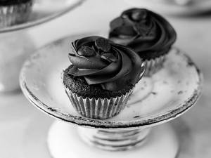 Chocolate Chip Cupcake