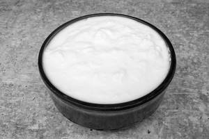 Plain Curd 