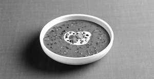 Dal Makhani