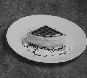 Chocolate Waffle
