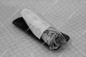 Chicken Roll