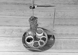 Rustic Spices Special Bbq (8 Pcs)