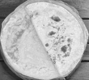 Indian Style Plain Roti