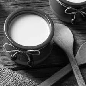 Plain Curd