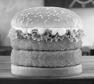 Mr Paneer Double Tower