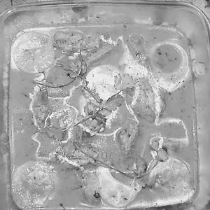 Matki Chicken