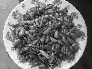 Garlic fry