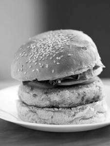 RollX Special Burger