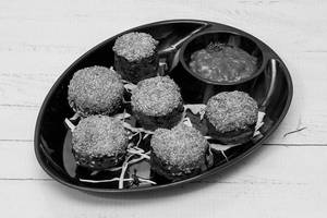 Paneer Camlin