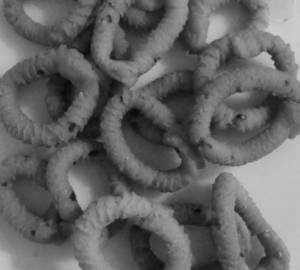 Andhara Murukku [300 Grams]