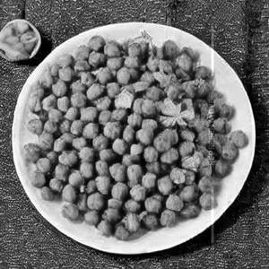 Chana Koliwada