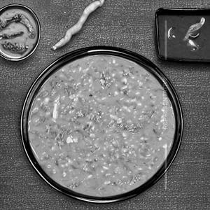 Sambar Rice