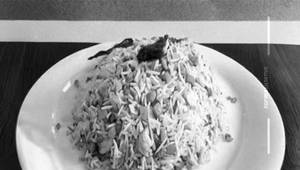 Chicken Special Fried Rice