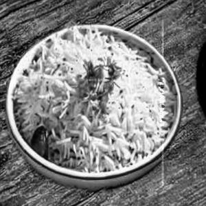 Schezwan Rice