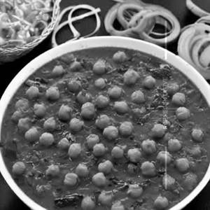 Chana Pindi