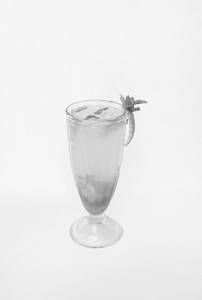 Orange Marmalade Mojito