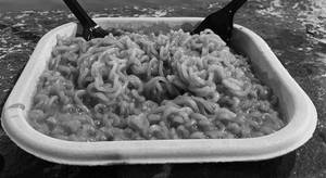 Plain Maggi