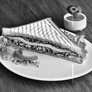 Veg Cheese Sandwich