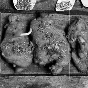 Blaster Pepper Chicken