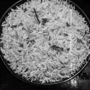 Plain Rice