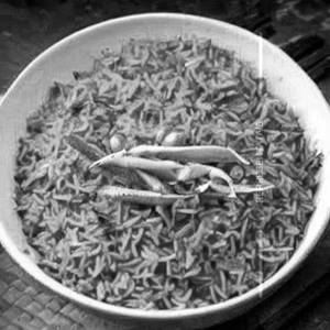Masala Rice