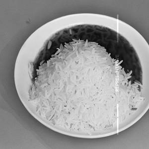 Rice