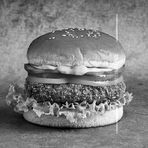 Ob Chicken Double Patty Burger