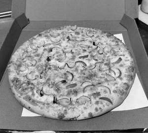 Cheese and Onion Pizza