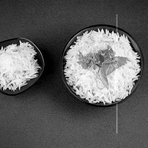 Plain Rice