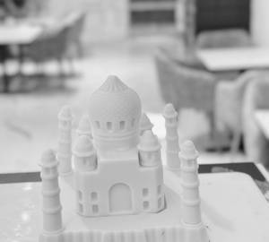 Taj Mahal White