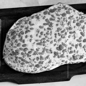 Chipotle Bread Omlet