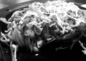 Cheese Chowmein