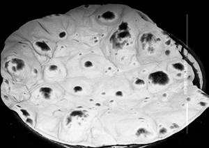 Plain Tawa Roti