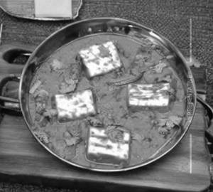 Paneer Muglai
