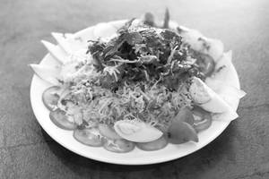 Shahjahani Biryani
