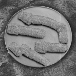 Fish Finger