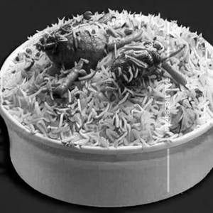 Cheese Biryani