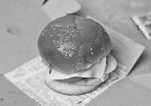 Cheese Burger      
