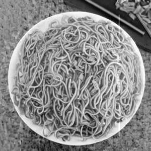 Chicken Fountain Special Noodles