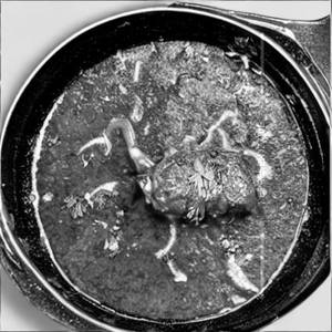 Butter Mutton